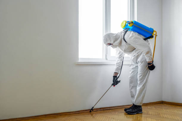 Professional Pest Control in Liberty, MO